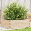 Image de Jardinière 70x70x23 cm bois de pin massif