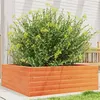 Image de Jardinière cire marron 70x70x23 cm bois de pin massif