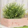 Image de Jardinière 70x70x23 cm bois massif douglas