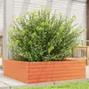Image de Jardinière cire marron 80x80x23 cm bois de pin massif
