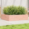 Image de Jardinière 90x90x23 cm bois massif douglas