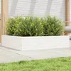 Image de vidaXL Jardinière blanc 100x100x23 cm bois de pin massif, jardinière d'extérieur, bac à fleurs, boîte à plantes, jardinière 847209