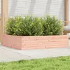 Image de Jardinière 100x100x23 cm bois massif de douglas