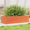 Image de Jardinière cire marron 90x40x23 cm bois de pin massif