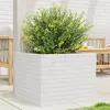 Image de vidaXL Jardinière blanc 60x60x45,5 cm bois de pin massif, jardinière d'extérieur, bac à fleurs, boîte à plantes, jardinière 847249