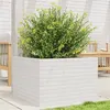 Image de vidaXL Jardinière blanc 70x70x45,5 cm bois de pin massif, jardinière d'extérieur, bac à fleurs, boîte à plantes, jardinière 847254