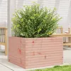 Image de Jardinière 70x70x45,5 cm bois massif de douglas