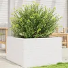 Image de Jardinière blanc 80x80x45,5 cm bois de pin massif