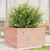 Image de Jardinière 80x80x45,5 cm bois massif de douglas