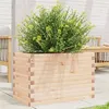 Image de vidaXL Jardinière 70x40x45,5 cm bois de pin massif, jardinière d'extérieur, bac à fleurs, boîte à plantes, jardinière de 847263