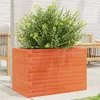 Image de Jardinière cire marron 70x40x45,5 cm bois de pin massif