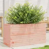 Image de Jardinière 90x40x45,5 cm bois massif douglas