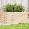 Image de Jardinière 110x60x45,5 cm bois de pin massif
