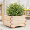 Image de Jardinière 40x40x26,5 cm bois de pin massif
