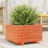 Image de Jardinière cire marron 40x40x26,5 cm bois de pin massif