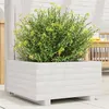Image de Jardinière blanc 50x50x26,5 cm bois de pin massif