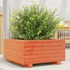 Image de Jardinière cire marron 50x50x26,5 cm bois de pin massif