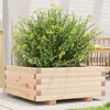 Image de Jardinière 60x60x26,5 cm bois de pin massif