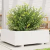 Image de Jardinière blanc 70x70x26,5 cm bois de pin massif