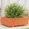 Image de Jardinière cire marron 70x70x26,5 cm bois de pin massif