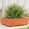 Image de Jardinière cire marron 80x80x26,5 cm bois de pin massif