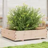 Image de vidaXL Jardinière 100x100x26,5 cm bois de pin massif847318