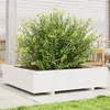 Image de Jardinière blanc 100x100x26,5 cm bois de pin massif