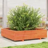 Image de Jardinière cire marron 100x100x26,5 cm bois de pin massif