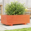 Image de Jardinière cire marron 70x40x26,5 cm bois de pin massif