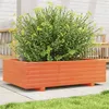 Image de Jardinière cire marron 90x60x26,5 cm bois de pin massif