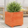 Image de Jardinière cire marron 50x50x49,5 cm bois de pin massif