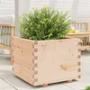 Image de Jardinière 60x60x49,5 cm bois de pin massif