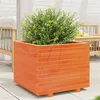 Image de Jardinière cire marron 60x60x49,5 cm bois de pin massif