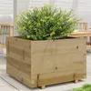 Image de vidaXL Jardinière 70x70x49,5 cm bois de pin imprégné, jardinière d'extérieur, bac à fleurs, boîte à plantes, jardinière de 847367