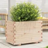 Image de vidaXL Jardinière 70x40x49,5 cm bois de pin massif, jardinière d'extérieur, bac à fleurs, boîte à plantes, jardinière de 847368