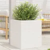 Image de Jardinière blanc 40x40x46 cm bois de pin massif
