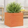 Image de Jardinière cire marron 50x50x46 cm bois de pin massif