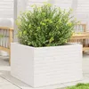 Image de Jardinière blanc 70x70x46 cm bois de pin massif