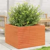 Image de Jardinière cire marron 70x70x46 cm bois de pin massif