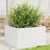 Image de Jardinière blanc 80x80x46 cm bois de pin massif