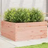 Image de Jardinière 100x100x46 cm bois massif de douglas