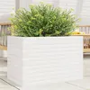 Image de Jardinière blanc 70x40x46 cm bois de pin massif