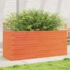 Image de Jardinière cire marron 110x40x46 cm bois de pin massif