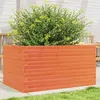 Image de Jardinière cire marron 90x60x46 cm bois de pin massif