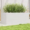 Image de Jardinière blanc 110x60x46 cm bois de pin massif