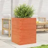 Image de Jardinière cire marron 50x50x68,5 cm bois de pin massif