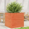 Image de Jardinière cire marron 70x70x68,5 cm bois de pin massif