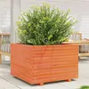 Image de Jardinière cire marron 70x70x49,5 cm bois de pin massif