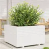 Image de Jardinière blanc 80x80x49,5 cm bois de pin massif