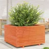 Image de Jardinière cire marron 80x80x49,5 cm bois de pin massif